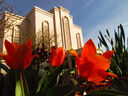 albuquerque-new-mexico-temple-13836.jpg