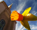 albuquerque-new-mexico-temple-13850.jpg