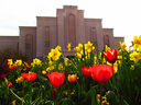 albuquerque-new-mexico-temple-13853.jpg