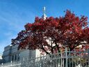 bismarck-north-dakota-temple-54055.jpg