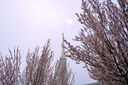 boise-idaho-temple-52404.jpg