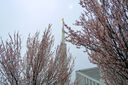 boise-idaho-temple-52405.jpg