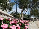 boston-massachusetts-temple-9898.jpg