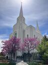 brigham-city-utah-temple-46009.jpg