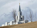 calgary-alberta-temple-26643.jpg