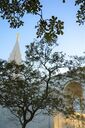 campinas-brazil-temple-6002.jpg