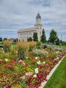 cedar-city-utah-temple-51093.jpg