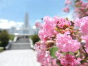 cochabamba-bolivia-temple-13703.jpg