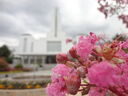 cochabamba-bolivia-temple-13708.jpg