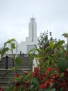 cochabamba-bolivia-temple-13716.jpg