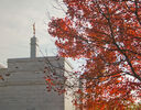 columbus-ohio-temple-8713.jpg