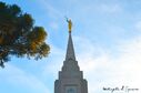 curitiba-brazil-temple-1232.jpg