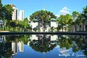 curitiba-brazil-temple-1235.jpg