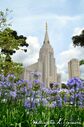 curitiba-brazil-temple-1237.jpg