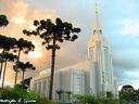 curitiba-brazil-temple-15571.jpg