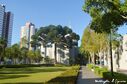 curitiba-brazil-temple-15577.jpg