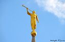 curitiba-brazil-temple-15578.jpg