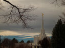 denver-colorado-temple-30391.jpg