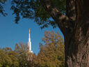 denver-colorado-temple-30398.jpg