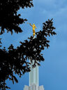 denver-colorado-temple-8241.jpg