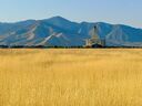 deseret-peak-utah-temple-52494.jpg