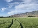 deseret-peak-utah-temple-9864.jpg