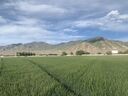 deseret-peak-utah-temple-9866.jpg