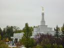 edmonton-alberta-temple-13115.jpg