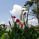 accra-ghana-temple-13752.jpg